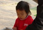 2008-03-29- KOBE-P1010464